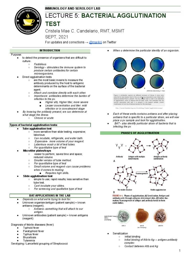 ISLab P5 Bacterial Agglutination Test PDF Antibody Serology