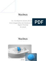 Nucleus: Dr. I G K Nyoman Arijana, M.Si - Med Divisi Sitogenetika Dan Molekuler Genetik, Bagian Histologi FK Unud