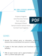 Introduction To Moleculer Genetic, DNA GENOME, CELL CYCLE, APOPTOSIS