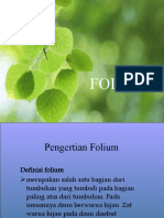 FOLIUM