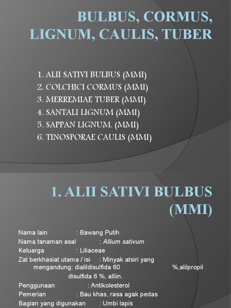 Lignum, Bulbus | PDF