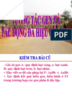 (123doc) - Bai-10-Tuong-Tac-Gen