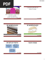 By Morphology by Morphology: by Sets of Teeth