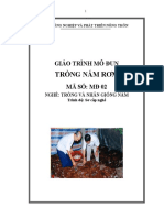 Giáo Trình Trồng Nấm Rơm - 887787