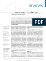 From Melanocytes To Melanomas.