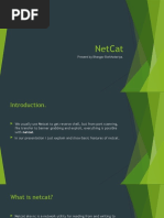 Netcat: Present by Bhargav Borkhatariya