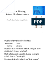 Anatomi Fisiologi Sistem Muskuloskeletal