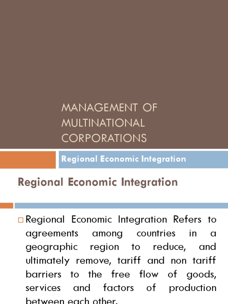 Common Market and Trade Integration | PDF | European Union | Economic ...