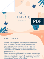 Mite (Tungau) dan Morfologinya