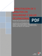 132764023 Capacitacion de 5 Minutos en Seguridad y Salud Ocupacional Docx