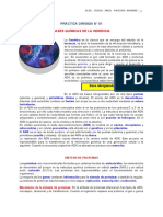 Pdmodelo Lic. Purizaca