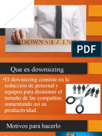 Downsizing 2