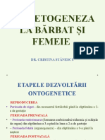 C2. GAMETOGENEZA LA BĂRBAT ȘI FEMEIE-1