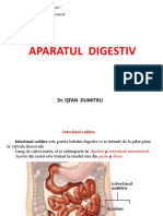 C5 Digestiv2