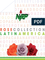 Nirp Catalogue Cut Roses 2020 Latin America Web