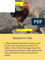 Back Yard Poultry in India