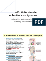 Tema 10 - Moleculas de Adhesión y Sus Ligandos