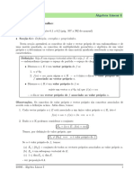 Valores e vetores próprios em Álgebra Linear I