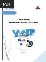 rapport voip