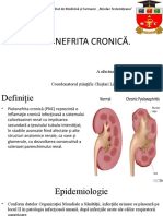 PNC Colesnic Silvia-Iaroslava M1707