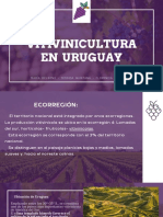 Vitivinicultura en Uruguay
