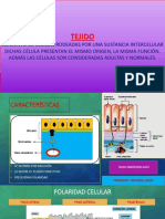 HISTOLOGÍA