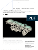 Los Rasgos Que Distinguen Al Cerebro Humano Moderno Surgieron Después de Su Dispersión Desde África