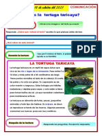 Ficha de Comunicación Tortuga Taricaya