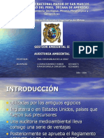 Auditoria Medio Ambiental