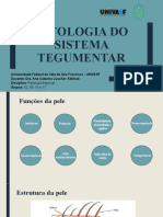 PATOLOGIA DO SISTEMA TEGUMENTAR 20-10