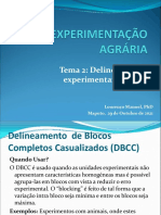 Tema2 DelineamentosDBCC