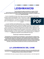 La Leishmaniosi