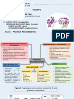 Proteina Recombinante