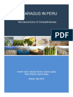 Asparagus Cluster- Final Report (1)