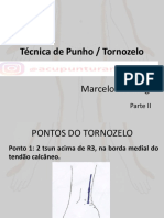 Técnica de Punho II