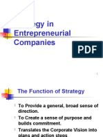 Strategy in Entrepreneurial Companies