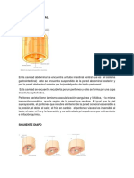 CAVIDAD PERITONEAL Resumen