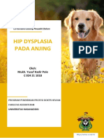 Hip Dysplasia Pada Anjing