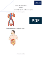 CWS Class 4 Chapter 3 Human Body Digestive and Excretory Systems