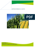booklet tanaman jagung
