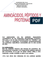 Clase Aminoacidos Peptidos y Proteinas Unico 2014