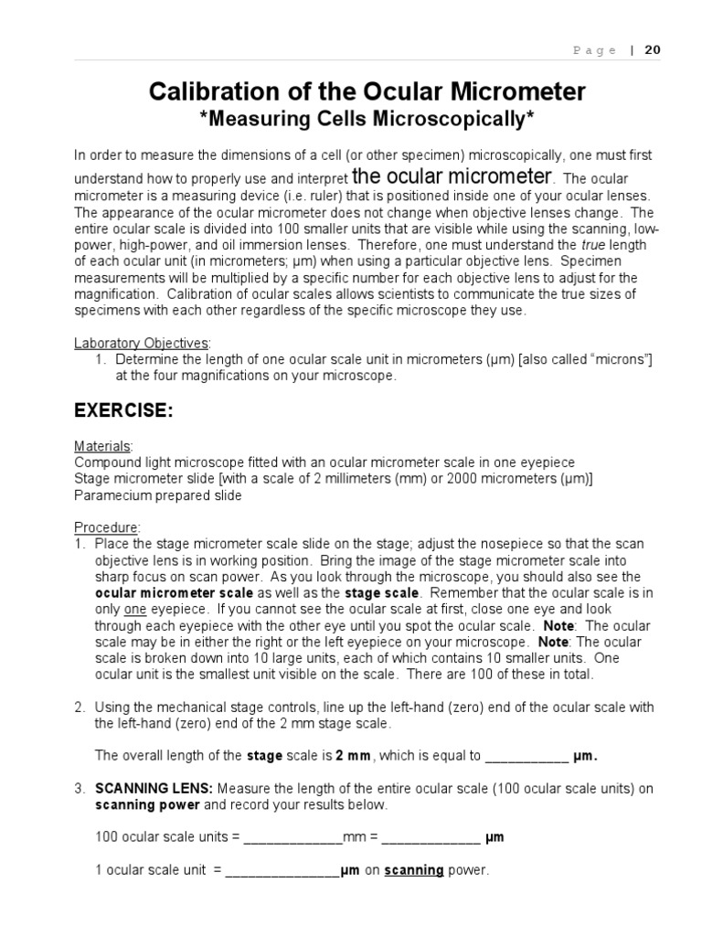 Calibration Ocular Micrometer Download Free Pdf Glass Applications