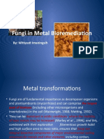 Metal Bio Remediation by Fungi