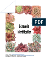 Echeveria Identification PDF