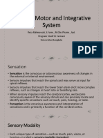 Sensory, Motor, and Integrative System