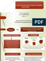 OPTIMALKAN HASIL TOMAT DENGAN PENANGANAN PASCAPANEN YANG BAIK