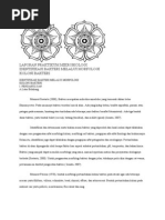 Download LAPORAN PRAKTIKUM MIKROBIOLOGI by Dewi Sartika SN53620672 doc pdf