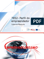 7852 - Perfil Do Empreendedor Apresentação Aula