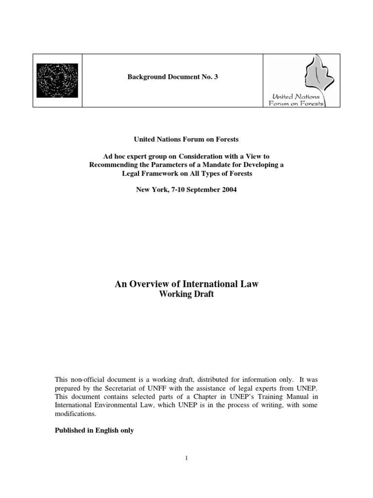 An Overview of International Law | PDF | Treaty | Ratification