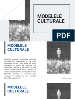 05.  Modelele culturale